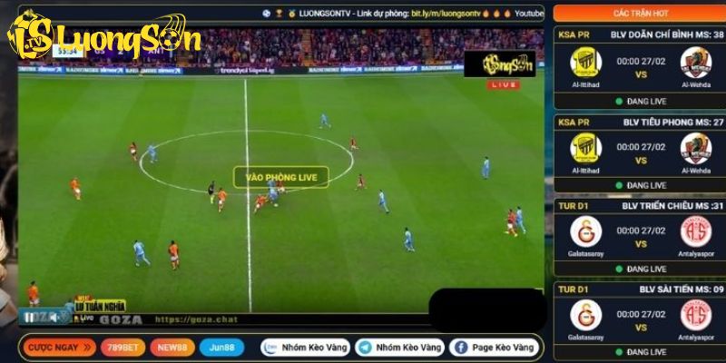 Trang cung cấp thông tin chính xác và liên tục