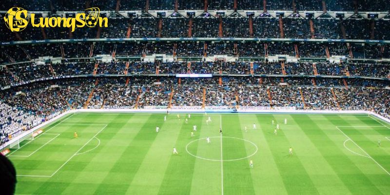 Thông tin giới thiệu về Luong Son TV với chuyên mục trực tiếp bóng đá